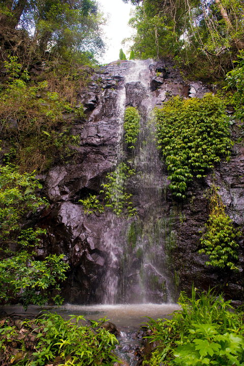 Nimbin Waterfall Retreat - Sydneys Hotel 0