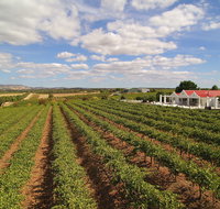 1837 Barossa Luxury Vineyard Cottages