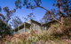 Reids Flat Cottage - thumb 0
