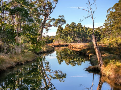 Saintys Creek Cottage - Sydneys Hotel 1