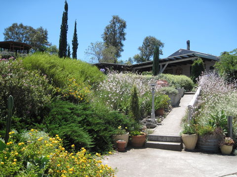 Valley View Cottage Hunter Valley - Sydneys Hotel 0