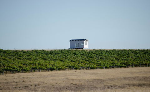 Hounds Run Vineyard - Sydneys Hotel 0