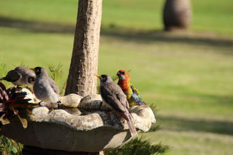 Twin Figs Country Retreat - Sydneys Hotel 2