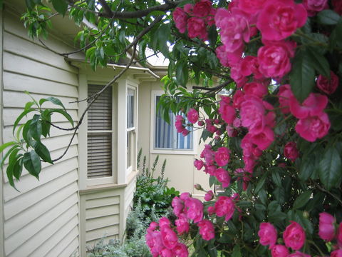 Valley Views Bed And Breakfast - Sydneys Hotel 0