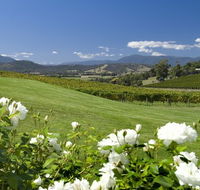 Balgownie Estate Vineyard Resort and Spa - Sydneys Hotel