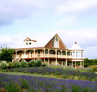 Serendipity Lavender Farm