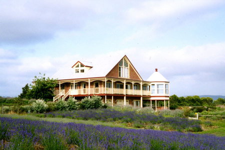 Serendipity Lavender Farm - Sydneys Hotel 0