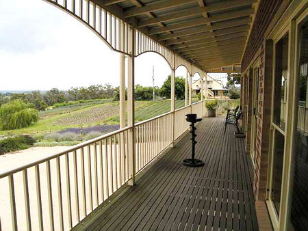 Serendipity Lavender Farm - Sydneys Hotel 2