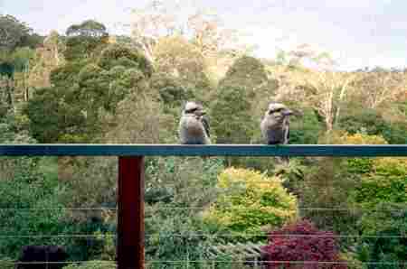 Upwey VIC Sydneys Hotel