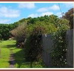 Orchard Cottage - Sydneys Hotel