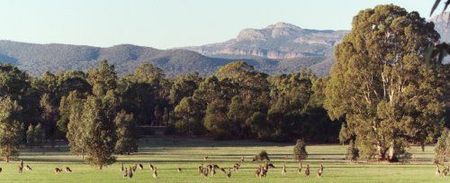 Wartook Gardens - Sydneys Hotel 1
