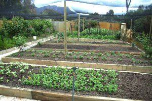 Wartook Gardens - Sydneys Hotel 3