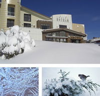 Chalet Hotham