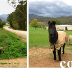 Emerald Park Holiday Farm