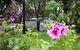 Beach Park Tourist Caravan Park - thumb 2