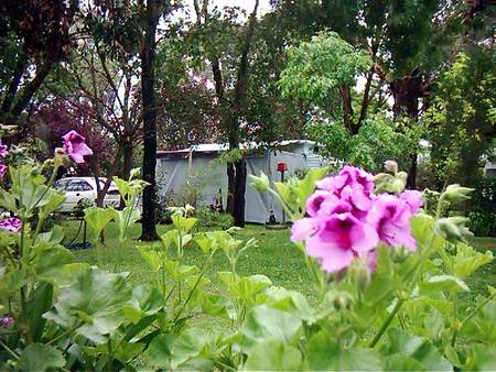 Beach Park Tourist Caravan Park - Sydneys Hotel 2