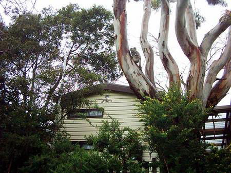 Beach Park Tourist Caravan Park - Sydneys Hotel 3