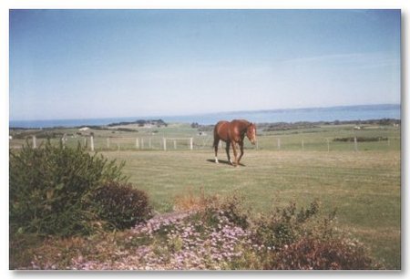 First Class Bed And Breakfast - Sydneys Hotel 0