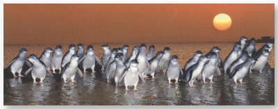 First Class Bed And Breakfast - Sydneys Hotel 1