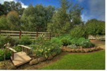 Peppermint Springs Retreat & Day Spa - Sydneys Hotel 2