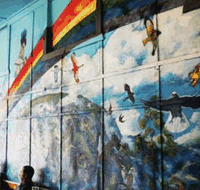 Nimbin Rox YHA