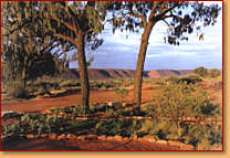 Kings Creek Station - Sydneys Hotel 1
