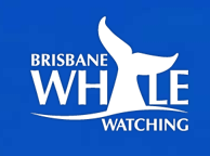 Brisbane Whale Watching - Sydneys Hotel 3
