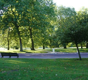 William Taylor Park - Sydneys Hotel