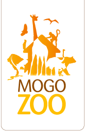 Mogo Zoo - Sydneys Hotel 0