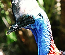 Alma Park Zoo - Sydneys Hotel 0