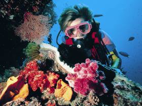 Gold Coast Seaway Dive Site - Sydneys Hotel 0