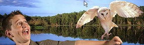Territory Wildlife Park - Sydneys Hotel 2