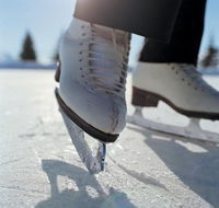 Olympic Ice Skating Centre - Sydneys Hotel