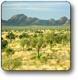 Uluru - Kata Tjuta National Park - Sydneys Hotel 2