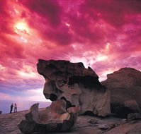 Kangaroo Island Adventure Tour 2 day/1 night - Sydneys Hotel