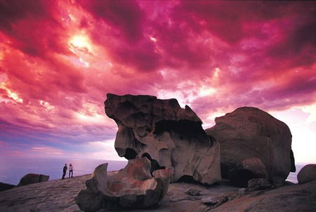Kangaroo Island Adventure Tour 2 Day/1 Night - Sydneys Hotel 0