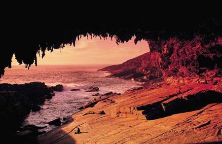 Kangaroo Island Adventure Tour 2 Day/1 Night - Sydneys Hotel 2