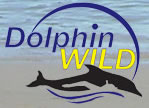 Dolphin Wild - Sydneys Hotel 0