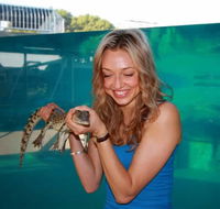 Crocosaurus Cove - Sydneys Hotel