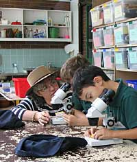 Australian National Botanic Gardens - Sydneys Hotel 2