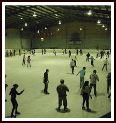 Bendigo Ice Stadium - Sydneys Hotel 1