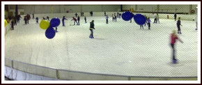Bendigo Ice Stadium - Sydneys Hotel 2