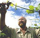 Barossa Experience Tours - Sydneys Hotel