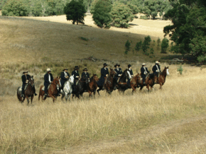 McCormacks Mountain Valley Trail Rides - Sydneys Hotel