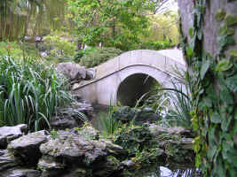 Chinese Garden Of Friendship - Sydneys Hotel 1