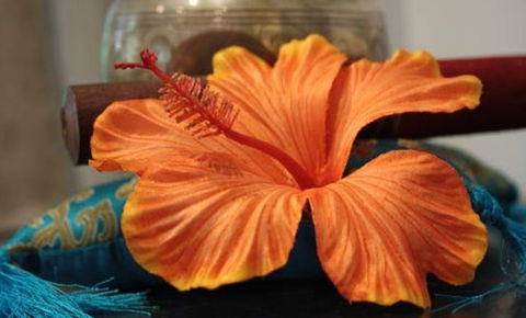 Annasha Day Spa Retreat - Sydneys Hotel 5