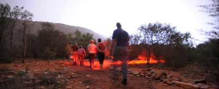 Alice Springs Desert Park - Sydneys Hotel 4