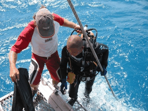 Big Cat Reality - thumb 2