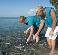 Aquascene Fish Feeding Sanctuary - Sydneys Hotel