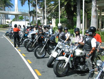 Wildfire Tours - Sydneys Hotel 1